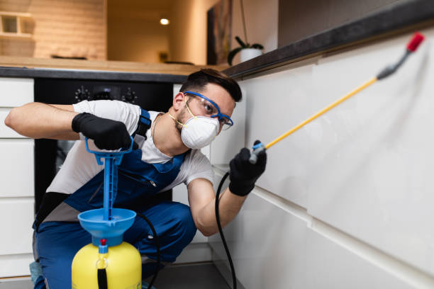 Best Pest Inspection Near Me  in Saco, ME