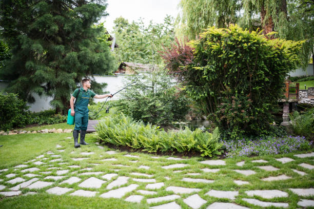 Best Wildlife Control Services  in Saco, ME