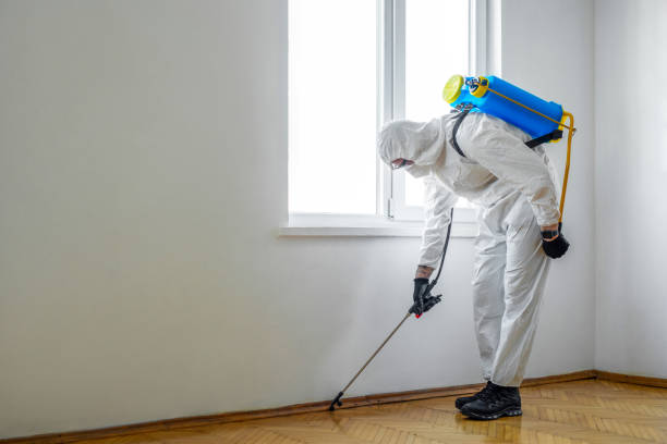 Best Local Pest Control Services  in Saco, ME