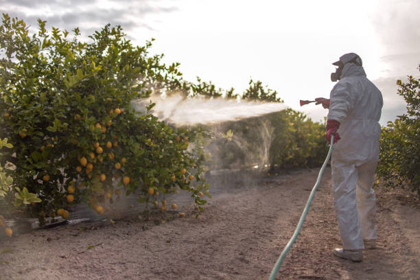 Best Pest Control Near Me  in Saco, ME