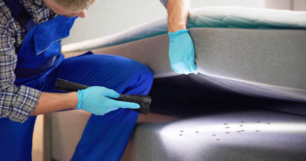 Trusted Saco, ME Pest Control Experts