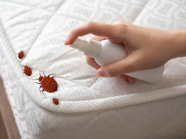 Pest Control Cost in Saco, ME