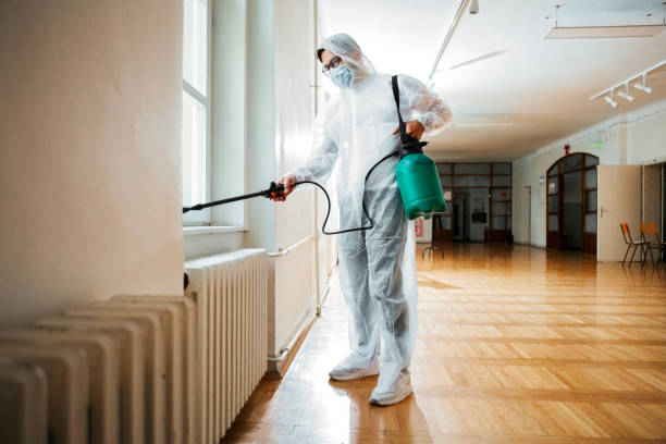 Best Exterminator Services  in Saco, ME