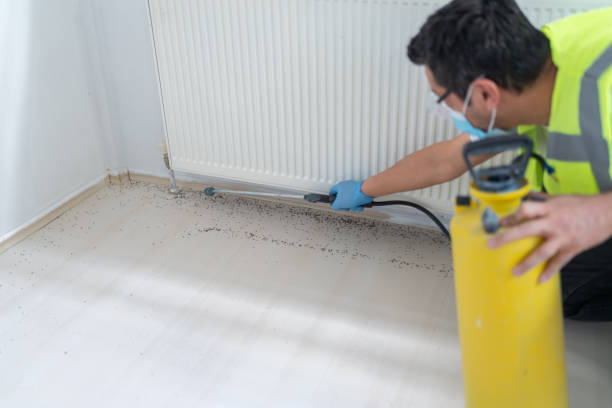 Best Pest Control Cost  in Saco, ME