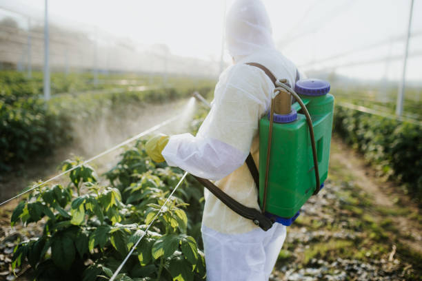 Best Exterminator Services  in Saco, ME